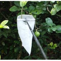 Dụng cụ bao trái cây trên cao 3m