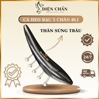 Dụng Cụ Cá Heo Bạc - Cạo Gió - Trục Hàn - Dụng Cụ Diện Chẩn