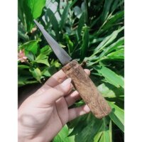 Dụng cụ chiết cành hàng Nhật bãi