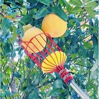 Dụng cụ hái trái cây có giỏ Phụ kiện chọn màu cam Giỏ đệm bên trong thực tế Dụng cụ bắt trái cây cho quả lê cam Xoài