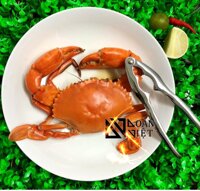 Dụng Cụ Kẹp CÀNG CUA GHẸ, Tách Vỏ Hạt Cứng - Inox Cao Cấp. Dụng cụ kềm kìm kẹp càng cua ghẹ phù hợp cho mọi GIA ĐÌNH, NHà Hàng, Quán Ăn