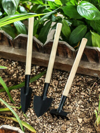 Dụng cụ làm vườn / / / Xẻng nhỏ trong chậu, Dụng cụ làm vườn trồng hoa, Bộ dụng cụ mọng nước, Bộ ba mảnh Mini,