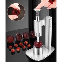 Dụng cụ lấy hạt táo đỏ inox 304 dày nặng tách hạt sơ ri chà là nhanh không làm biến dạng trái nhanh tiện dụng