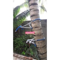 DỤNG CỤ LEO DỪA KIỂU NGỒI LEO THẾ HỆ MỚI