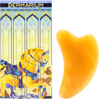 Dụng cụ massage da mặt Dermarium