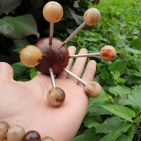 dụng cụ mát xa đa năng - dụng cụ bấm huyệt