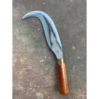 Dụng cụ sửa dừa, loại bỏ những tàu dừa hư⚡️💯