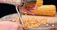 Dụng cụ tách hạt ngô khô siêu nhanh dễ sử dụng BA1009