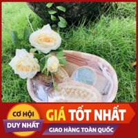 Dụng cụ tắm tẩy tế bào chết bằng gỗ tự nhiên gồm Bông tắm, Lược gỗ, Đá chà gót chân, Xơ mướp bông tắm B-01 [Tặng_20k]