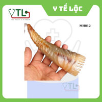 Dụng cụ Vò đầu, gội đầu cực thích nhé - ống gió Chóp sừng Massa đầu giúp lưu thông máu Hahanco - MH812