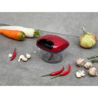 Dụng cụ xay tỏi ớt, băm nhỏ thực phẩm thương hiệu Kaiyo Nhật Bản - dung tích 250ml