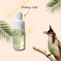 Dung Dịch Hỗ Trợ Đường Ruột Cho Chim Chào Mào Hiệp Đồng Nai