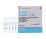 Dung dịch khí dung trị hen Ventolin Nebules 2.5mg (6 vỉ x 5 ống/hộp)