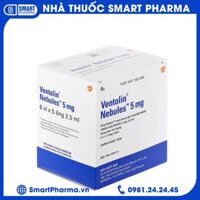 Dung dịch khí dung Ventolin Nebules 5mg điều trị co thắt phế quản (6 vỉ x 5 ống)