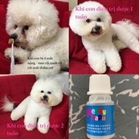 Dung dịch nhỏ rửa mắt,chảy nước mắt,viêm tuyến lệ,viêm giác mạc cho Chó Mèo ( 5ML/ 1 lọ)