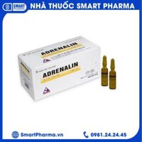 Dung dịch tiêm Adrenalin 1mg/1ml hồi sức tim phổi, cấp cứu choáng phản vệ (5 vỉ x 10 ống)