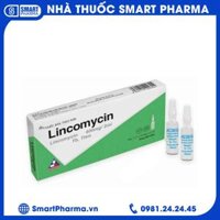 Dung dịch tiêm Lincomycin 600mg/2ml Vinphaco trị nhiễm khuẩn xương, phụ khoa (1 vỉ x 10 ống)