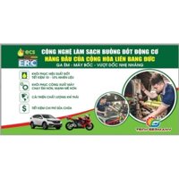 Dung dịch vệ sinh kim phun, buồng đốt  ECS CHLB ĐỨC