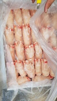 Dựng heo trước A APK