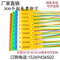 Dùng Một Lần Nhựa Niêm Phong Chì Niêm Phong Túi Giày Thẻ Nhãn Than Xe Tải Xe Tải Xe Tải Hộp Đựng Chống dismantling Tie Hậu Cần Niêm Phong Thẻ