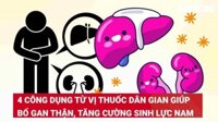 Dùng Thuốc Lao Uống Thuốc Bổ Gan Gì Tốt Nhất: Hướng Dẫn Chi Tiết