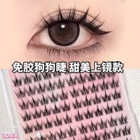 Dung Tích Lớn 100 Thân Mỏng Không Keo Sữa Nhỏ Chó Series Lông Mi Giả Lười Dày Tự Nhiên Người Mới Biết Truyện Tranh Phân Đoạn Lông Mi