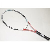 DUNLOP AEROGEL 300 (G2)