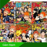 [ĐƯỢC CHỌN MẪU] Bộ 6 Áp phích - Poster Anime Haikyuu Vua Bóng Chuyền (2) (bóc dán) - A3, A4, A5