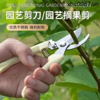 Được đề xuất bởi những người bán hoa Kéo cắt cành hoa Kéo hoa Phần cứng Kéo cắt tỉa Cây cảnh Vườn gia đình Gadg