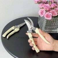 Được đề xuất bởi những người bán hoa Kéo cắt cành hoa Kéo hoa Phần cứng Kéo cắt tỉa Cây cảnh Vườn gia đình Gadg