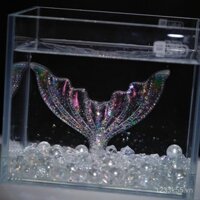 Đuôi lớn, bể cá nhỏ, cảnh quan vi mô, cá Betta Thái Lan, cá thiên thần, màu hồng, trang trí đuôi cá lớn, trang trí văn phòng