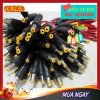 Đuôi nguồn camera ( bó 100c ) | Dây nguồn DC 5.5x2.1