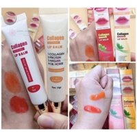 Dưỡng kích màu Sau Xăm Collagen Lip Balm