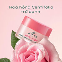 Dưỡng môi Nuxe Reve de Miel Lip Balm 15g