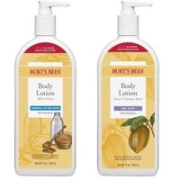 Dưỡng thể dành cho da khô Burt's Bees Body Lotion for Dry Skin with Cocoa & Cupuacu butter/ Milk & Honey 340g (Mỹ)