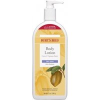 Dưỡng thể giữ ẩm dành cho da khô Burt's Bees Butter Body Lotion for Dry Skin with Cocoa & Cupuacu 340g (Mỹ)