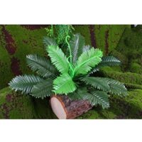 Dương xỉ cụm trang trí mã 3026