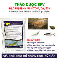 Dứt điểm bệnh Gan cấp tính, Vàng Gan, Teo Gan trên Tôm Cá Ếch Lươn - Thảo dược SPV thay thế Kháng Sinh Thủy Sản