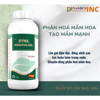 (DYNAMICS) DYNA PHOSPHO GEL Phân bón giúp phân hoá mầm hoa, tạo mầm mạnh