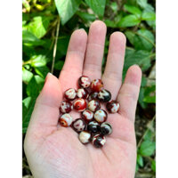 Dzi , hạt, charm phối vòng, thần tài, bạc 925, nc, gỗ, quý nhân