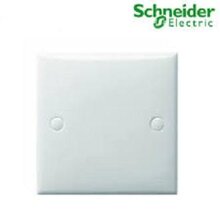 Mặt cho 1 thiết bị E31 WE Schneider