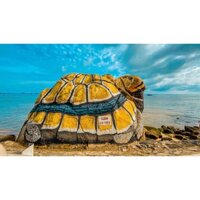 [E-Voucher] Tour Hòn Sơn từ Sài Gòn 2 ngày 1 đêm – Khám phá “Hòn đảo thiên đường”