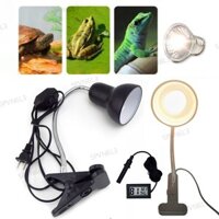 E27 UVA + UVB 220V Bò Sát Làm Nóng Đèn Sàn Giá Đỡ Rùa Basking Bóng Đèn Rùa Kẹp Nhiệt Kế Máy Đo Độ ẩm Thằn Lằn VN6L3