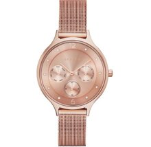 Đồng hồ nữ Skagen SKW2314