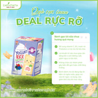 [EARTHMAMA] Bánh Gạo Lứt Sữa Chua Hương Quả Mọng Hỗn Hợp 32gr (Bánh ăn dặm Organic cho bé)