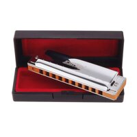 Easttop T008S 10 lỗ Lý Tiểu Long Blues Harmonica dành cho Người Mới Bắt Đầu MỘT B C D E F