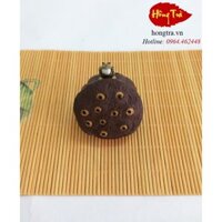 Ếch ngồi đài sen mini DCKDM34