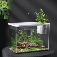 Eco Douyu bể cá mini phòng khách trong suốt bể cá vàng rùa cảnh quan bể cá có nắp