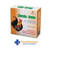 Effervita Amino ( viên)