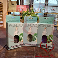 EKOKO, KONJAC, BÔNG TẮM - EKOKO, KONJAC, SPONGE